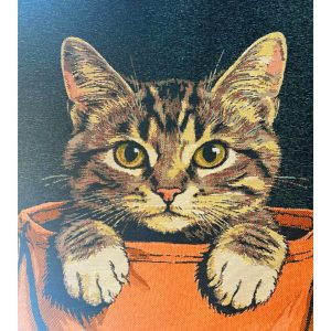 Чехол декоративный "Вениамин"